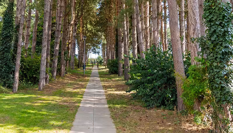 Lakeside Park Wellbeing 5